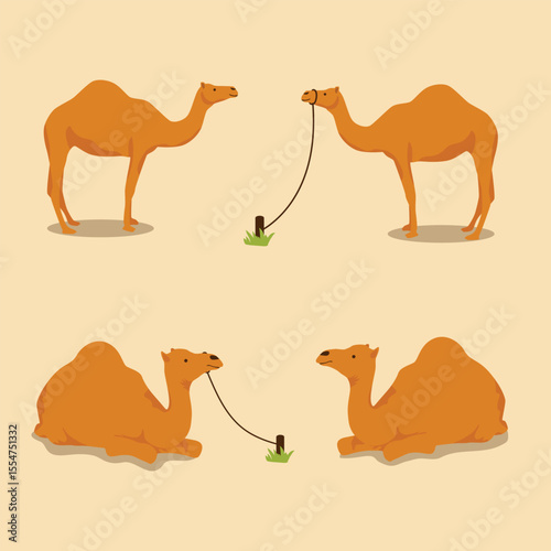 Camel Vector Illustration Desert Animal in Simple Style