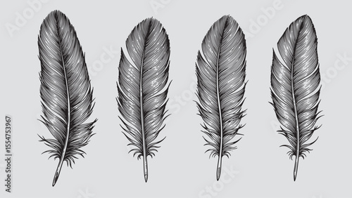 Feather engraving shows freedom spirituality dreams and connection between heaven and earth