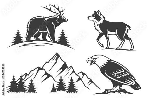 wild animals collection