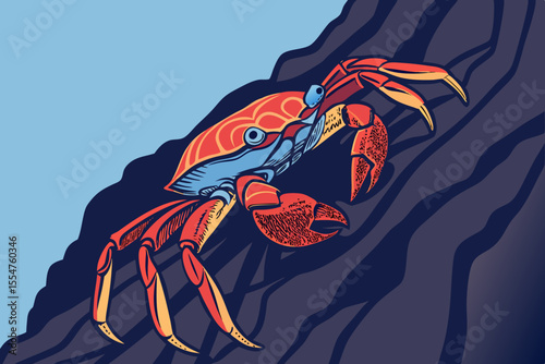 Sally Lightfoot crab perched on coastal rock in colorful vector artwork