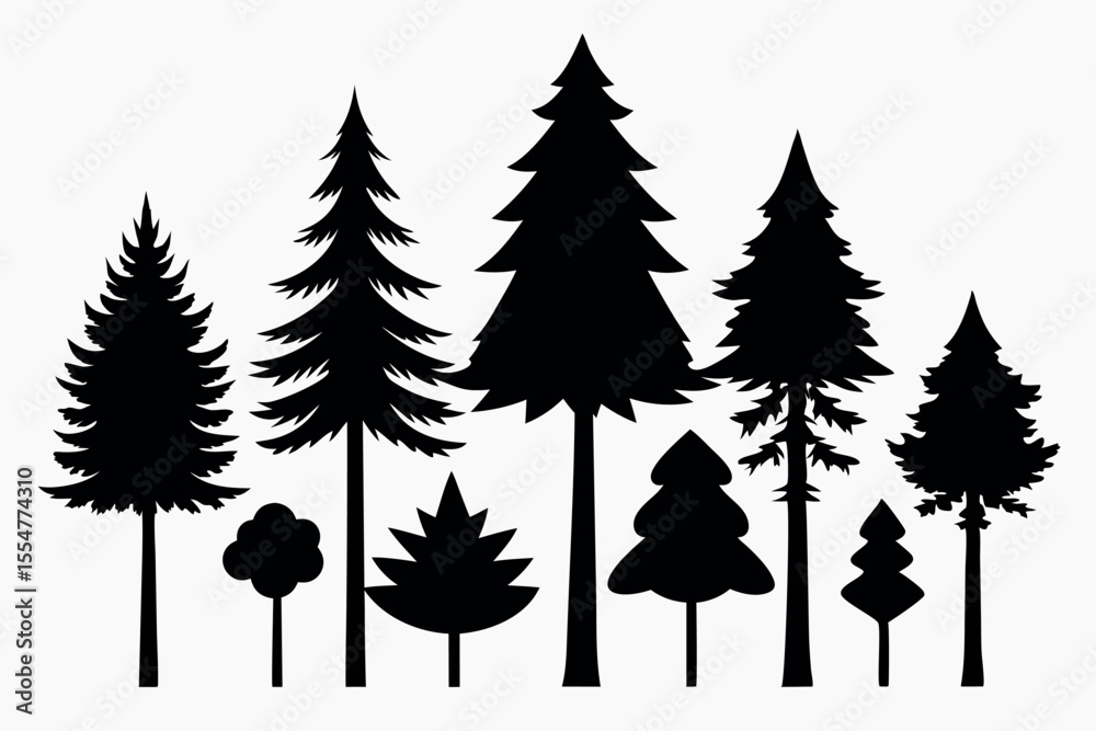 Fototapeta premium Silhouettes of evergreen trees in a forest setting