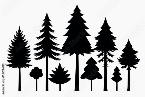 Silhouettes of evergreen trees in a forest setting
