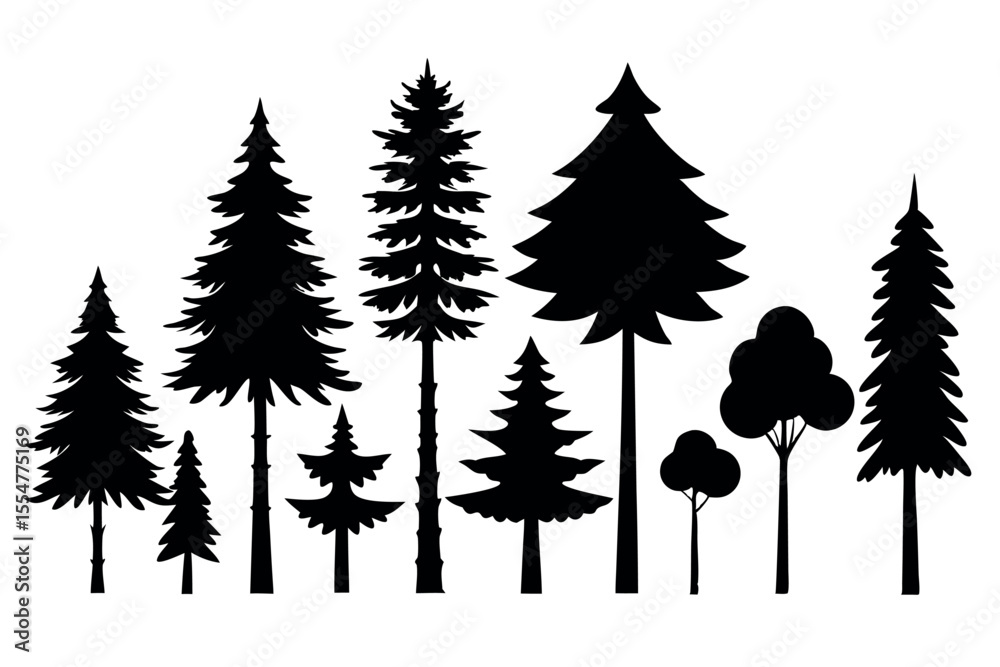 Fototapeta premium Silhouettes of evergreen trees in a forest setting
