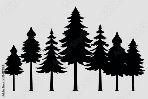 Silhouettes of evergreen trees in a forest setting