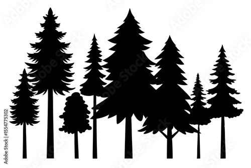 Silhouettes of evergreen trees in a forest setting