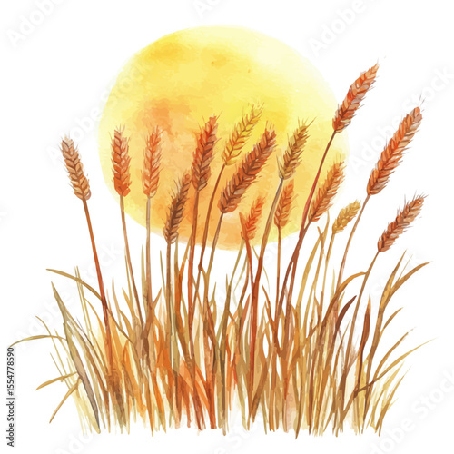 Golden Wheat Field Sunset, watercolor clipart vector, isolated on a white background.