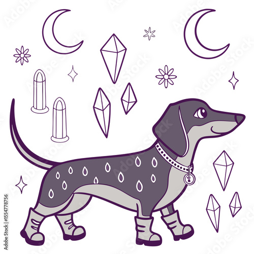 Vector illustration of a Excited Dachshund with wearing rain boots, styled in a Starlight Ball theme using Lunar Elegance colors