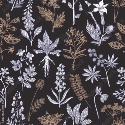 Witch herbs seamless pattern. Poisonous plants background. Apothecary herbs hand-drawn vector illustration. Bohemian design. NOT AI generated