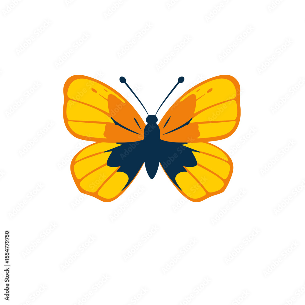 Fototapeta premium Butterfly with colorful wings isolated on white background