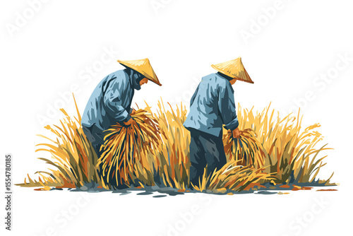 Farmers harvesting rice on the field rural isolated
