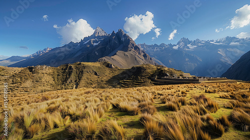 A scenic view of mountains and a grassy field under a bright blue sky with fluffy white clouds