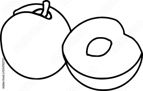 Plum  vector illustration