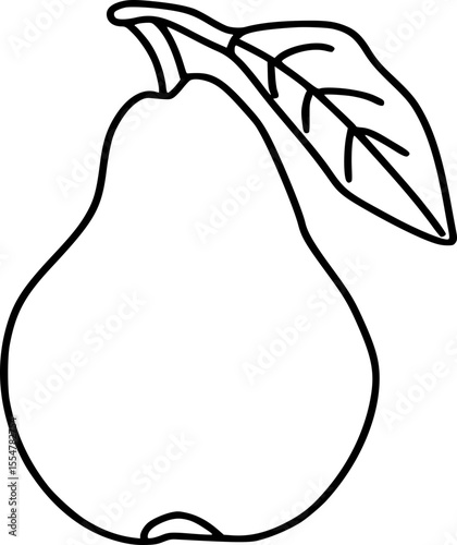 pear fruit vector illustration