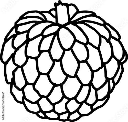 vector illustration of a custard apple