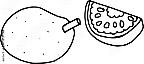 vector illustration of a Jackfruit 