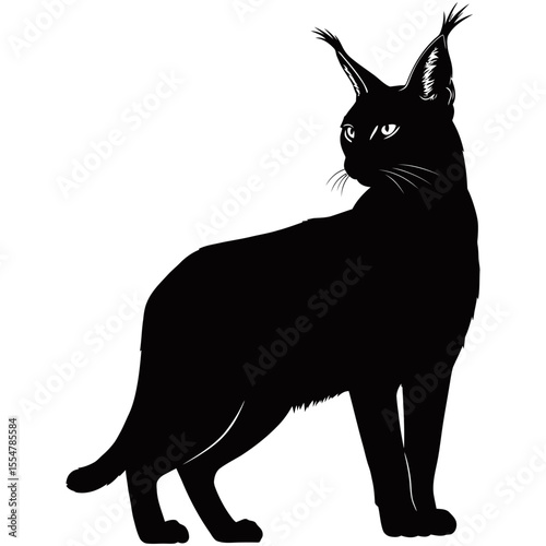 Caracal silhouette, A striking silhouette of a caracal, showcasing its distinctive features with artistic precision and bold contrast.