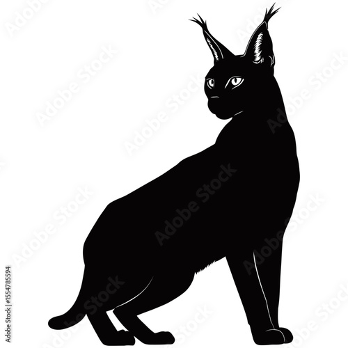 Caracal silhouette, A striking silhouette of a caracal, showcasing its distinctive features with artistic precision and bold contrast.