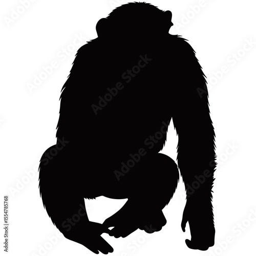 Chimpanzee Silhouette: A striking black silhouette of a chimpanzee is displayed.