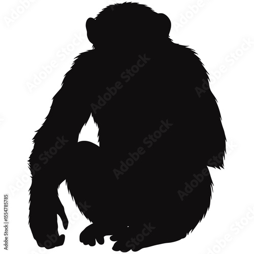 Chimpanzee Silhouette: A striking silhouette of a chimpanzee, captured in a minimalist style, highlighting the graceful contours and distinctive form of this fascinating primate.