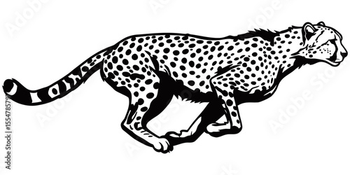 Cheetah in Motion: A sleek cheetah sprints forward with incredible speed and agility, showcased in a detailed black and white illustration.