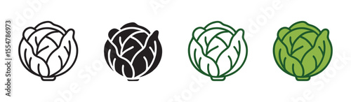 Cabbage vegetable icon set in outline and flat style , vector illustration . 