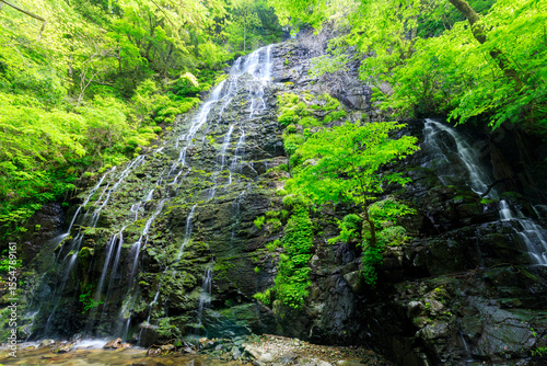 初夏の龍双ヶ滝　福井県今立郡　Ryusogataki Falls in early summer. Fukui Pref, Imadate County. photo