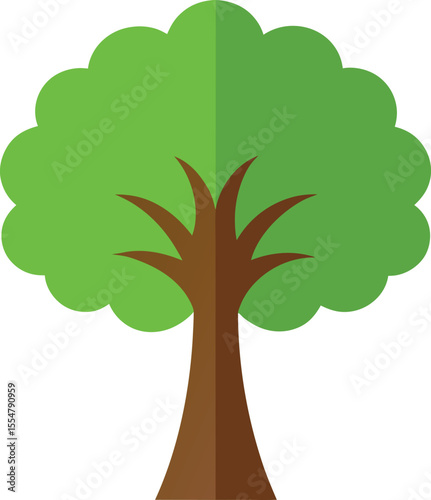 Teak Tree: Premium Hardwood

