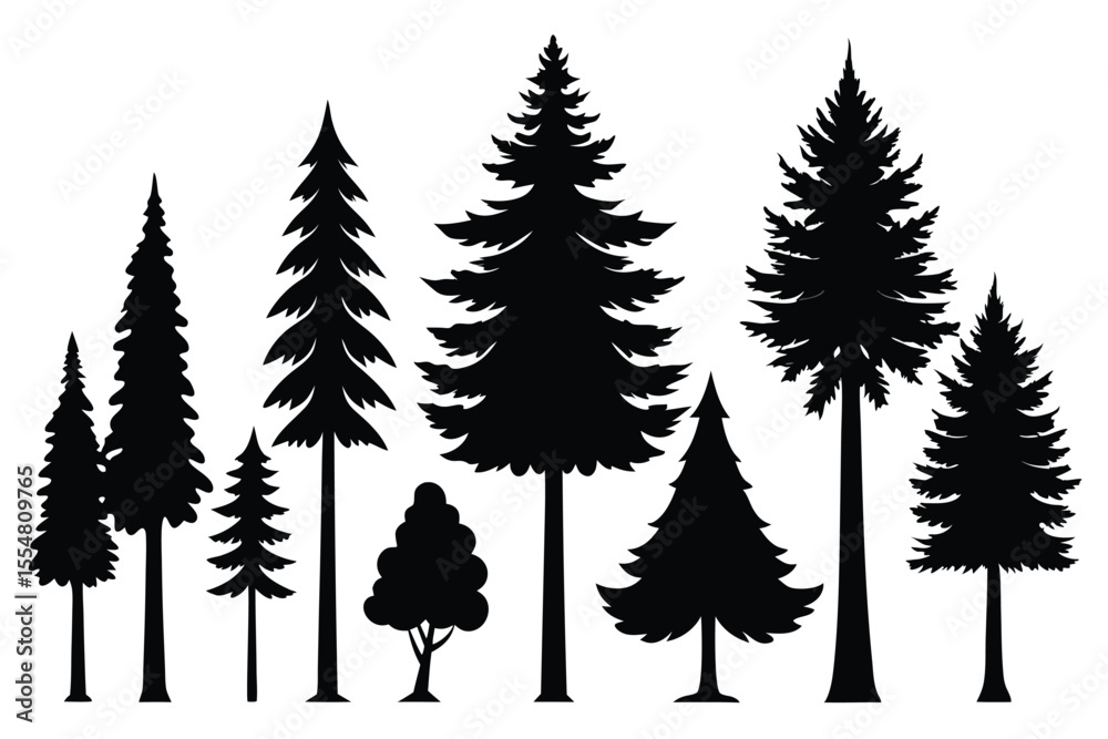 Obraz premium Silhouettes of evergreen trees in a forest&nbsp;setting