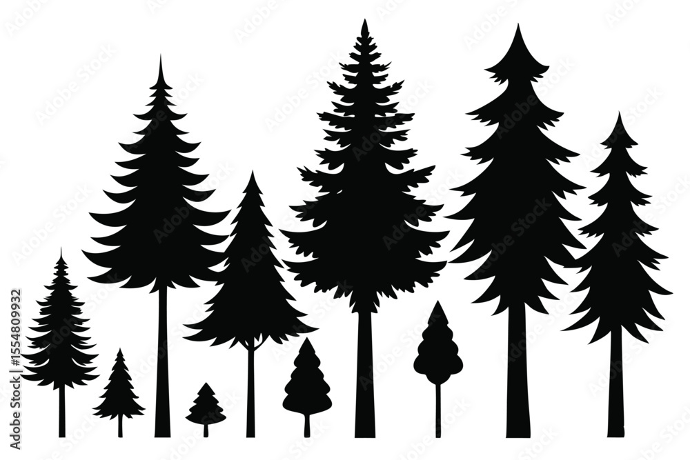 Obraz premium Silhouettes of evergreen trees in a forest setting