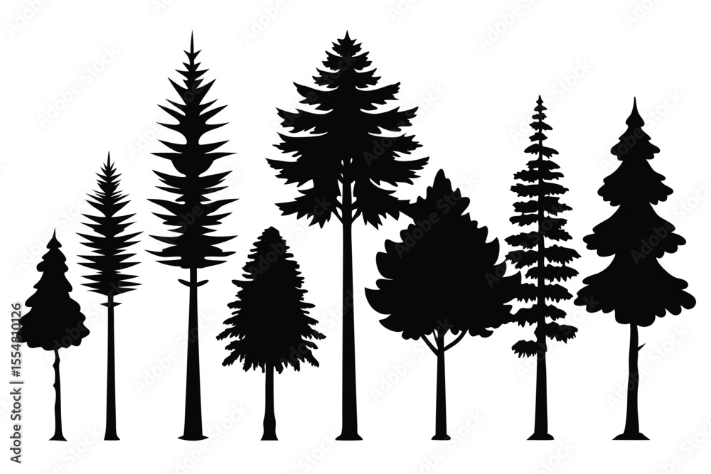 Obraz premium Silhouettes of evergreen trees in a forest&nbsp;setting