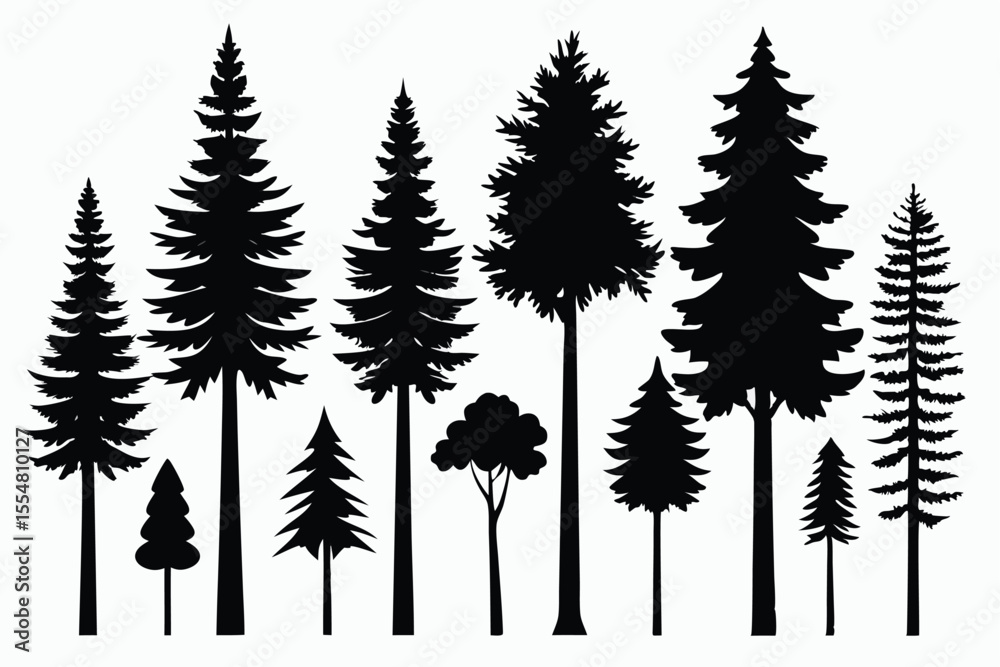 Obraz premium Silhouettes of evergreen trees in a forest&nbsp;setting