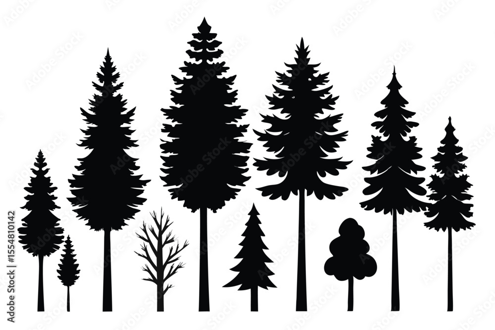 Fototapeta premium Silhouettes of evergreen trees in a forest&nbsp;setting