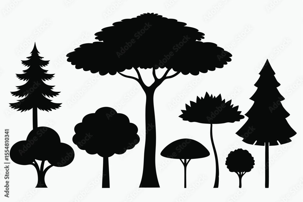 Fototapeta premium Silhouettes of evergreen trees in a forest setting