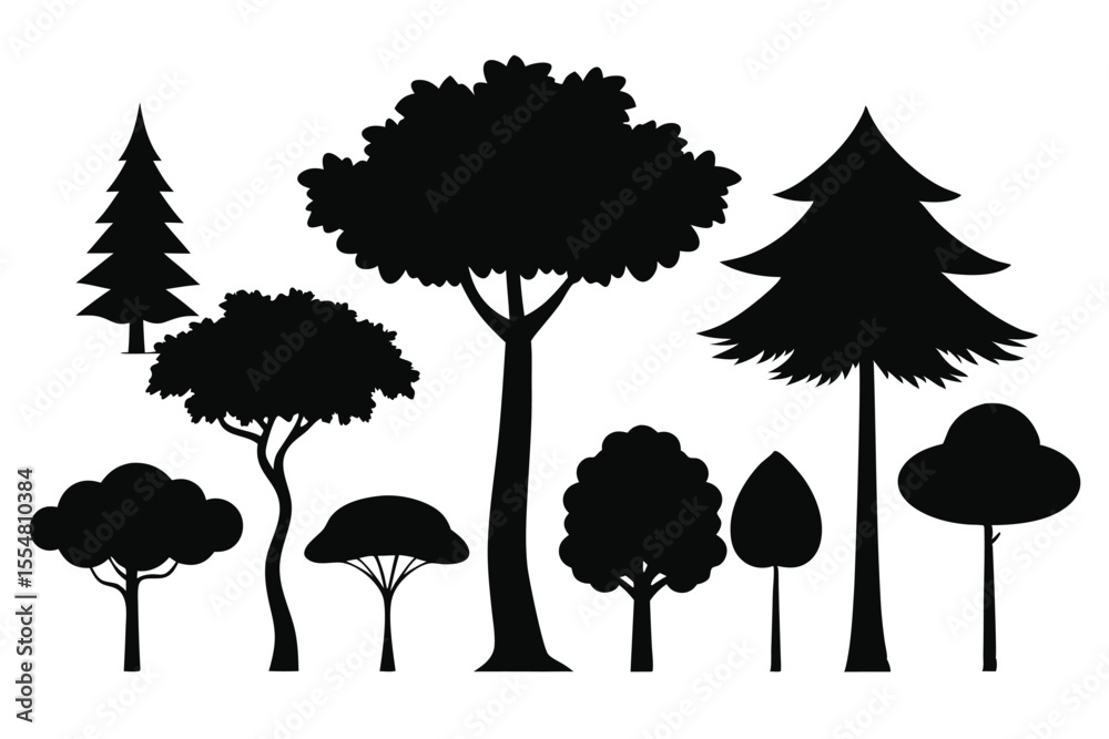 Fototapeta premium Silhouettes of evergreen trees in a forest setting