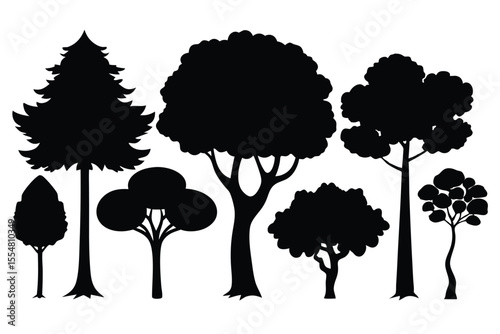 Silhouettes of evergreen trees in a forest setting