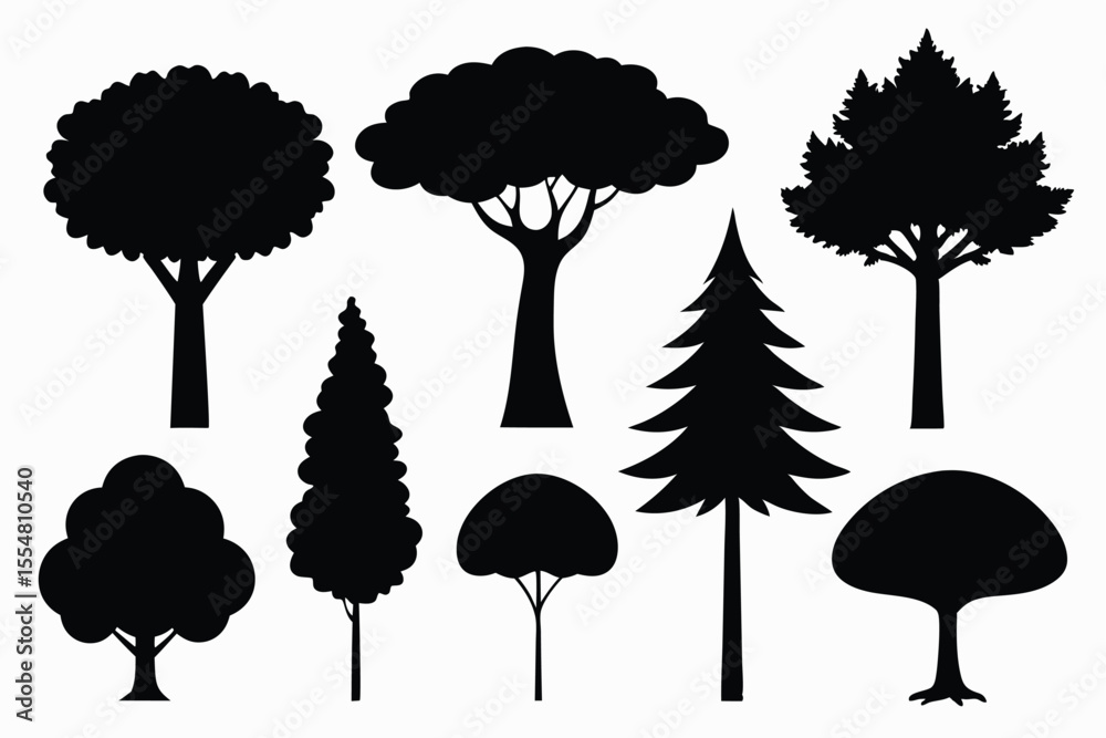 Fototapeta premium Silhouettes of evergreen trees in a forest setting