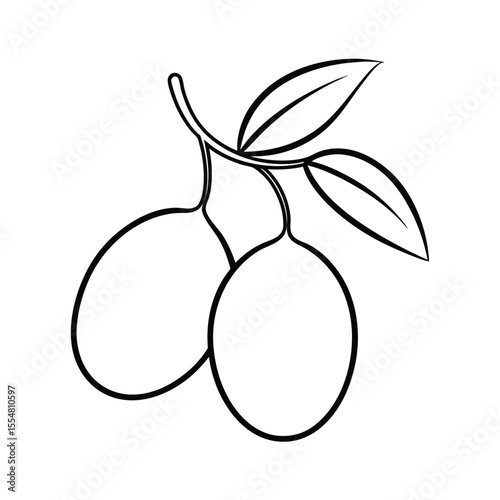 autumn olive fruit vector illustration