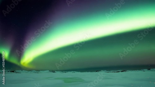 Stunning display of northern lights illuminating a snowy landscape under a starry sky