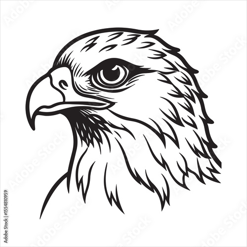 Red-Tailed Hawk – Majestic Raptor of North America’s Wilderness