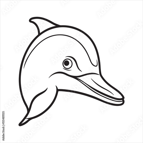 River Dolphin – Mysterious Swimmer of the Amazon and Asia