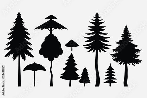 Silhouettes of evergreen trees in a forest setting