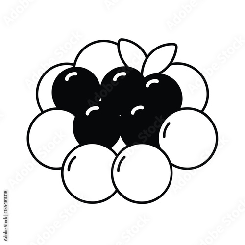 vector illustration of blueberries