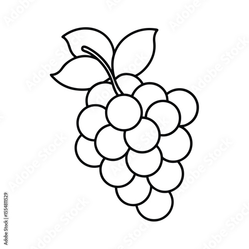 vector illustration bunch of grapes