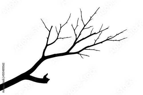 Vector illustration of a dry or dead tree branch silhouette in black