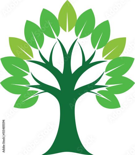 Neem Tree: Medicinal & Natural

