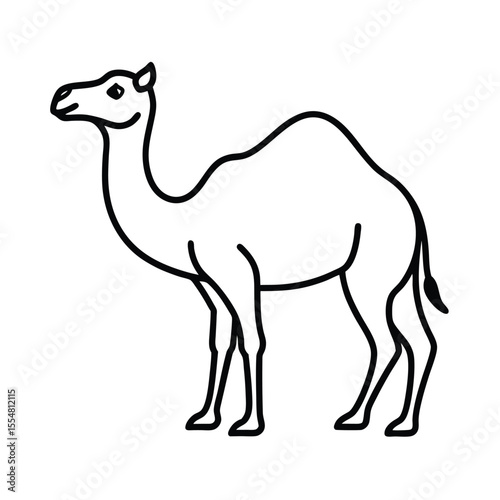 camel vector illustration