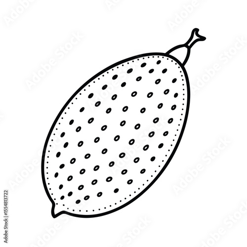 vector illustration of a finger lime fruit