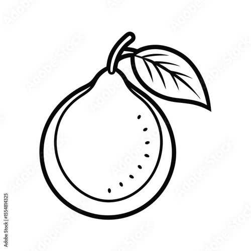 guava fruit vector illustration