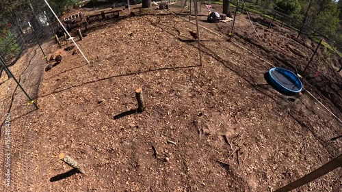 Time lapse shot of few days of cage free chickens and ducks freely roaming and pecking soil while strolling inside outdoor enclosure - Wide and high angle view