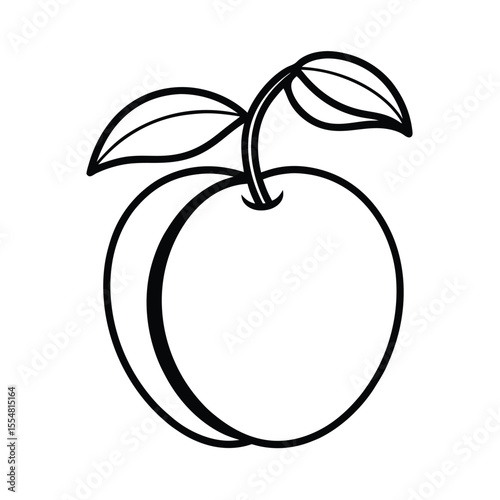  Japanese plum vector illustration